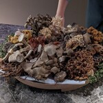 NH - 35種類の今の時期国内で採れた全てのキノコ類を乾燥させて　秋の味覚たっぷり