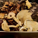 Nonna Nietta - 天然木の子達… 大好きっす…