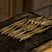 富小路 やま岸 - 