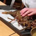 温石 - デッカい伊勢海老。赤目が怖い\(//∇//)\