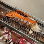 温石 - 甲羅は井伊の赤備え色になりました