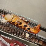 温石 - 尻尾が反ってきました