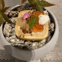 イリエスケープ - 