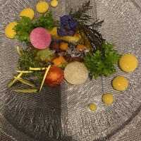 イリエスケープ - 