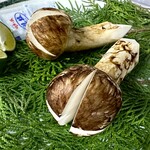 市坂山荘 - 