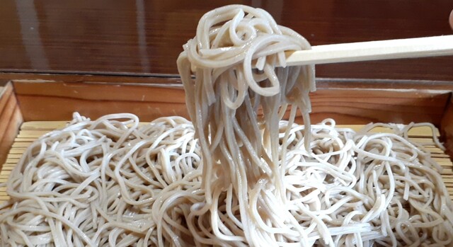 手打そば やまと - 余目（そば）の写真