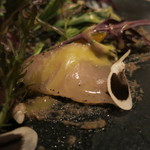 ラ・ボンヌターブル - さわらあっぷ