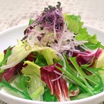 ≪韓方サラダ～高麗人参入り～≫