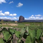 ラ コリーナ近江八幡 - 回廊からは農作地と怪しげな要塞が