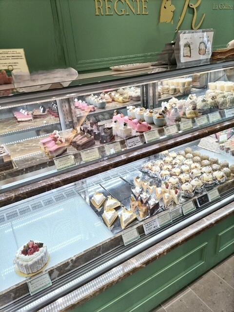 REGNIE La Colline Etoiles