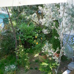 ラ・ボッテガ・ゴローザ - 客席からの玄関側庭の眺め