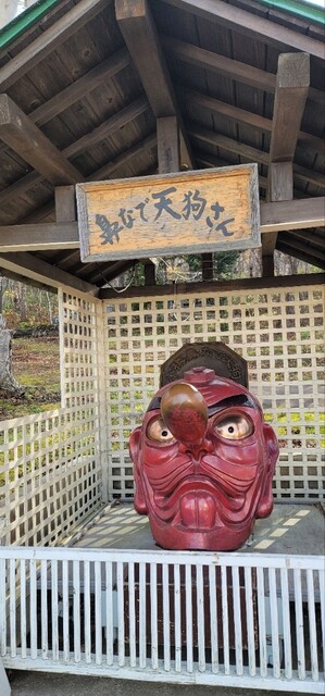 TENGUU CAFE（てんぐー カフェ【旧店名】てんぐ） - 小樽（食堂）の写真