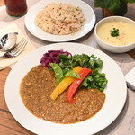 Vegan Eat Tokyo - ヴィーガンカレー