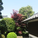 Kiuchi Shuzou - 庭は木々がきれいです。