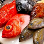 日本酒原価酒蔵 - 