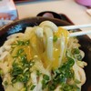 手打十段 うどんバカ一代