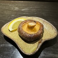 かんない 諸星 - 