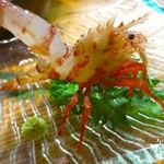 エビ二種盛り(ゴジラエビ・もさえび、550円)