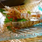 旬魚たつみ - エビ二種盛り(ゴジラエビ・もさえび、550円)