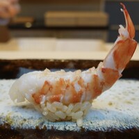 THE SUSHI TOKYO 旬 - 車海老