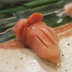 治鮨 - 26年5月　赤貝