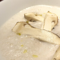 Potoro - 