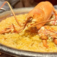 Potoro - 
