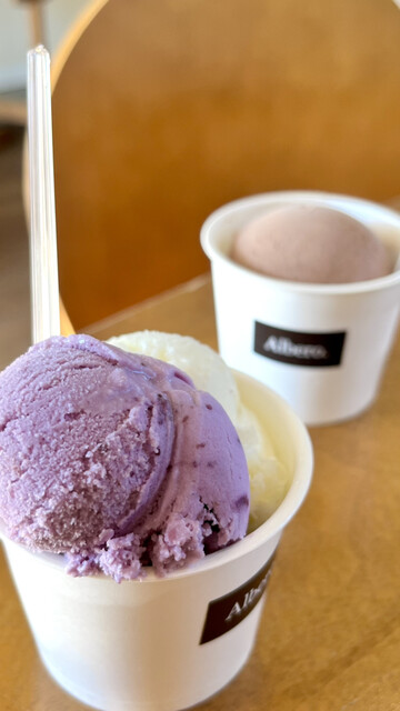 売り切りセール!アルベロ　トップス アルベロ.さんのジェラート6個セット｜ハンプティーダンプティー公式