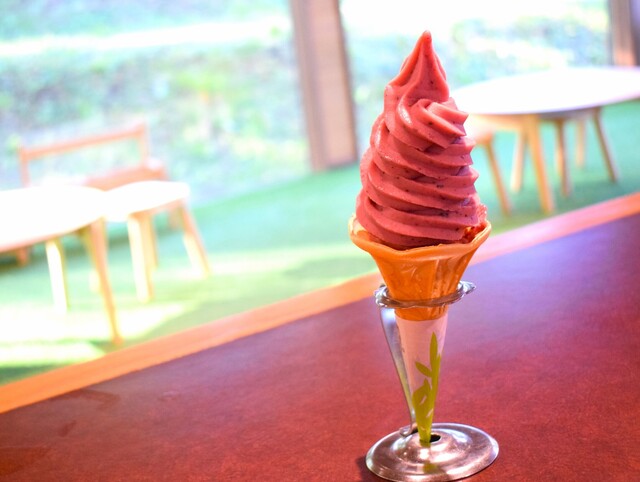 蔵王ブルーベリー農園 レストハウス - 蔵王町その他（カフェ）の写真