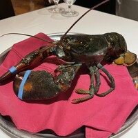 ベンジャミンステーキハウス 東京ガーデンテラス紀尾井町 - live lobster 