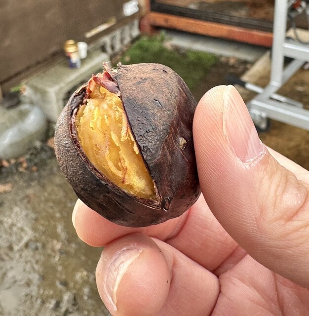 焼き栗のアサキチ （ASAKICHI） - 太平/その他 | 食べログ