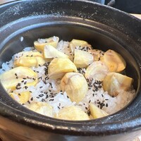 和食鉄板 銀座 朔月 -  和食鉄板 銀座 朔月 -