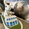 レストラン うさんちゅ - 