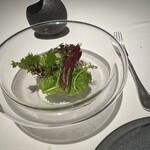 レストラン オオツ - サラダ