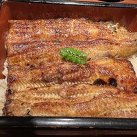 新宿うな鐵 はなれ -  新宿うな鐵 はなれ -