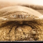 居酒屋 さか盛 - お店の看板キャラクター「すっぽんくん」