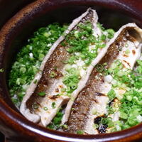 御料理 ふじ田 - 