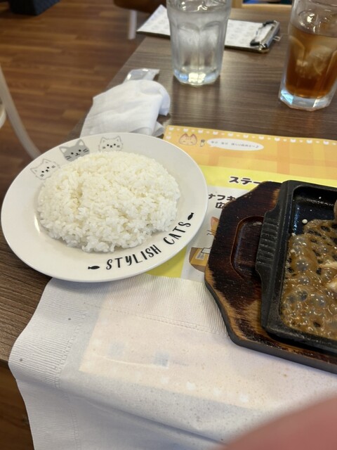 はらぺこキャット - 彦根口/ハンバーグ | 食べログ