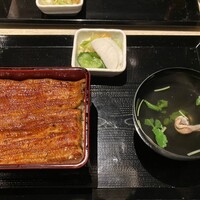 うなぎ 目白ぞろ芽 - 