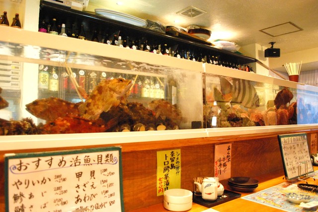 Yoshiei Maru photo 4