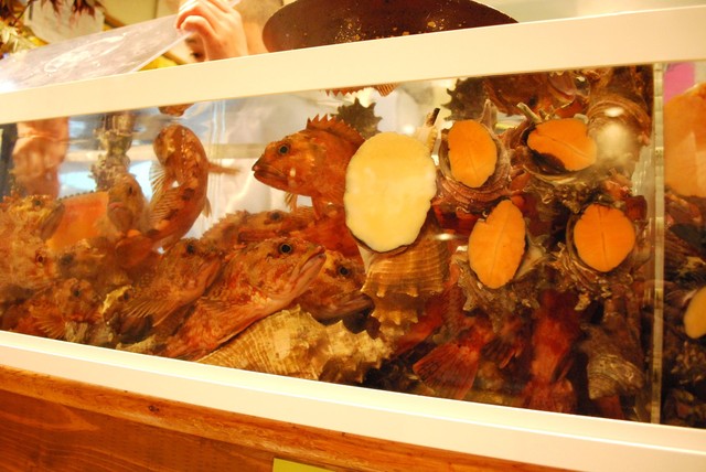 Yoshiei Maru photo 5