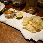 アポロプラス - 