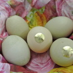 肉うどん 野島 - 近所で飼育している『黒鶏』の生卵＠60