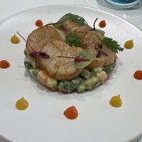 Loiseau de France - 