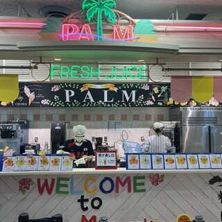 パーム_2