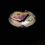 炭焼 おかげさん - 高坂鶏腿たたき