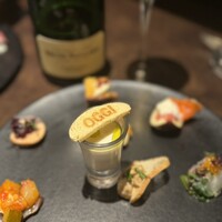 オッジ ダルマット 西麻布店 - 