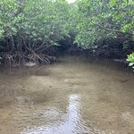 明石食堂 - マングローブ