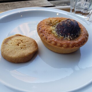 サレド コーヒー_1