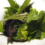 カセント - 今日届いた野菜たち、中には根菜も